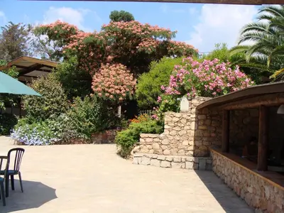 a garden with pink flowers and a stone wall at Kallisterra in Sainte-Lucie de Porto-Vecchio