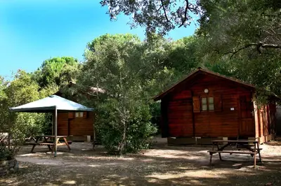 a wooden cabin with two benches and an umbrella at Camping U STABIACCIU in Porto-Vecchio