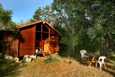 a wooden cabin with a picnic table and a bench at Camping U STABIACCIU in Porto-Vecchio
