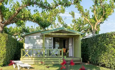 a green tiny house in a yard with trees at Perula di Machja in Alata