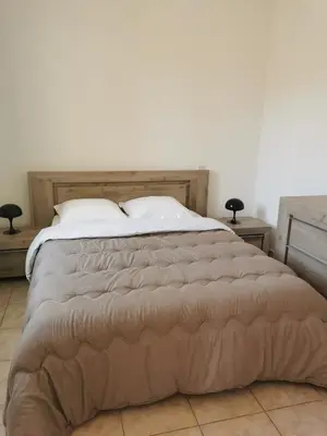 a bedroom with a large bed with two night stands at Terres de France - Les Hauts du Maquis in Linguizzetta