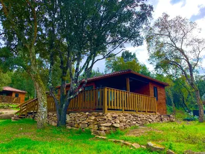a log cabin with a stone wall and a tree at L'Aravone Lodge in Sartène