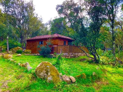 a small house in the middle of a green field at L'Aravone Lodge in Sartène