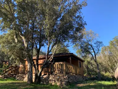 a log cabin with a stone wall and a tree at L'Aravone Lodge in Sartène