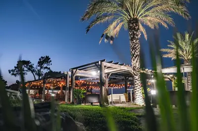 a palm tree in front of a building at Belambra Clubs Borgo - Pineto in Borgo