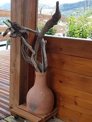 a vase with a plant in it next to a window at Le Chalet de Valentine & Laurent in Olmiccia