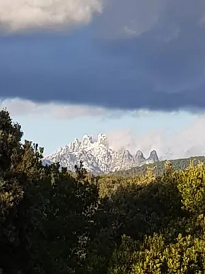 a snow covered mountain in the middle of a forest at Le Chalet de Valentine & Laurent in Olmiccia