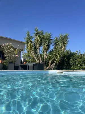 a swimming pool with palm trees in front of a house at House Angeli in Prunelli-di-Fiumorbo