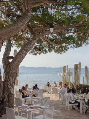 a group of people sitting at tables under a tree at Hôtel Les Mouettes - Teritoria in Ajaccio