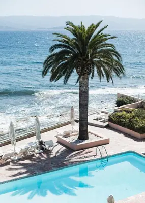 a palm tree and a swimming pool next to the ocean at Hôtel Les Mouettes - Teritoria in Ajaccio