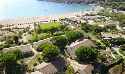an aerial view of a beach with trees and houses at Hôtel-Restaurant Marina Di Lava - Grand Ajaccio in Appietto