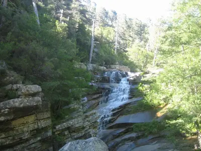 a waterfall in the middle of a forest at Scopa Rossa in Evisa