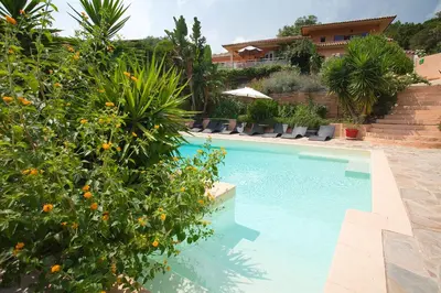 a swimming pool in a yard with plants at Villa Mimosa in Favone