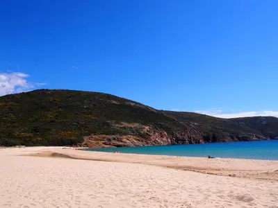 a beach with a mountain in the background at U Casinu in Piana