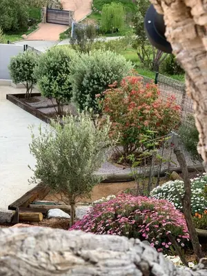 a garden with bushes and trees and flowers at Senteurs du Maquis in Porticcio