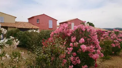 a garden with pink flowers in front of a house at Résidence Tamaris 2 in Porto-Vecchio