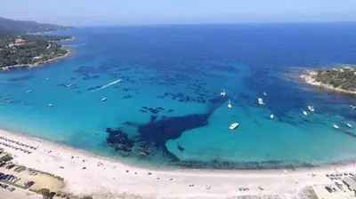 an aerial view of a beach with boats in the water at Hotel Les Pavillons Du Golfe in Favone