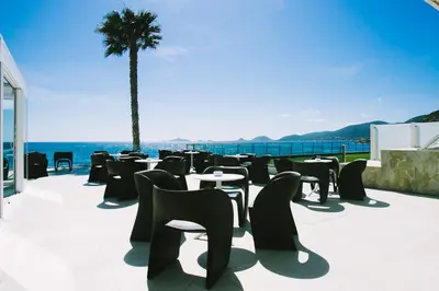 a row of tables and chairs and a palm tree at Hôtel Cala di Sole in Ajaccio