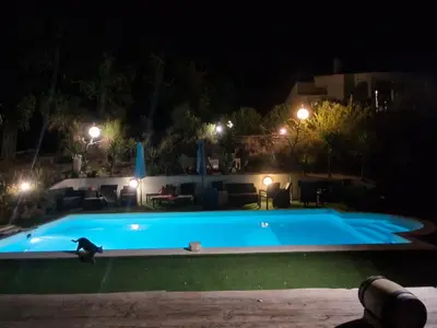 a swimming pool at night with a cat in front at Gites San Austinu in Petreto-Bicchisano