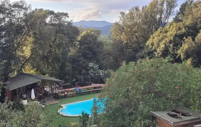 a swimming pool in the middle of a yard with trees at Gites San Austinu in Petreto-Bicchisano