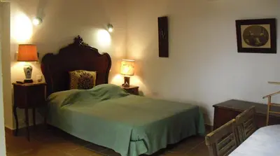 a bedroom with a bed with a green blanket at Maisonnette du berger de Croccano in Sartène
