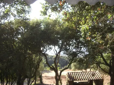 a picnic table sitting under trees in a field at Maisonnette du berger de Croccano in Sartène