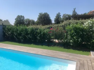 a garden with a swimming pool and some bushes at Chez Muriel in Porto-Vecchio