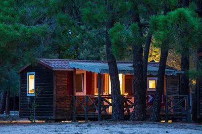 a small cabin with palm trees in front of it at Camping Golfo Di Sogno in Porto-Vecchio