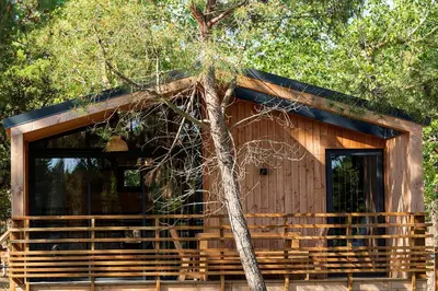 a wooden cabin with a tree in front of it at Camping Golfo Di Sogno in Porto-Vecchio