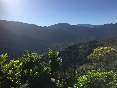 a view of a valley with mountains in the background at Maison de Vacances - Casa Mezanaccia avec Terrasse fleurie meublé tourisme 3 étoiles in Santa-Lucia-di-Tallano