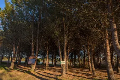 a group of trees with a sign in the middle at Hotel U Paesolu in Sainte-Lucie de Porto-Vecchio