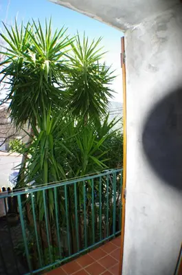 a balcony with a view of a palm tree at GITE , Maison de vacances avec extérieur et terrasse fleurie meublé tourisme 3 étoiles in Poggio-di-Tallano