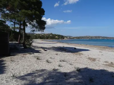 a sandy beach with a tree and the water at Villa Libecciu in Sainte-Lucie de Porto-Vecchio