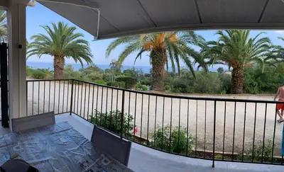 a balcony with a view of palm trees at Appartement I Cardellini in Sari Solenzara
