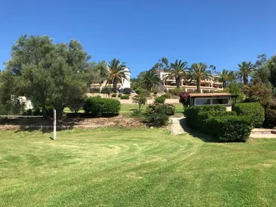 a yard with a house and trees and grass at Appartement I Cardellini in Sari Solenzara