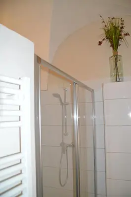 a shower in a bathroom with a vase with a plant in it at maison corse en balagne in Cateri