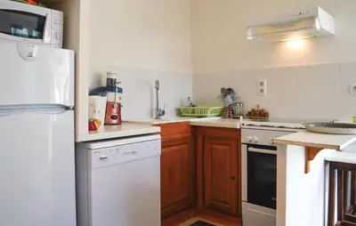 a kitchen with a white refrigerator and wooden cabinets at Beautiful Apartment In Sollacaro in Sollacaro