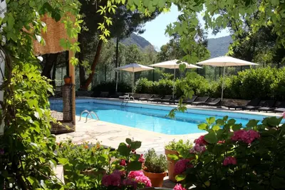 a swimming pool with chairs and umbrellas and flowers at Accendi Pipa in Campitello