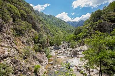 a view of a mountain with rocks and trees at Gîte Du Pont - Piana in Piana