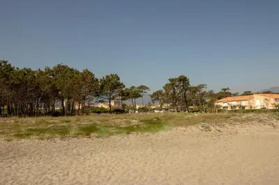a sandy beach with trees and houses in the background at Appartement Maenat in Borgo