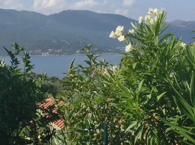 a view of a lake from behind some trees at Panoramic Seaview studio Tiuccia in Casaglione