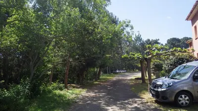 a car parked on the side of a road with trees at RESIDENCE U RE D' ALZETTU in Porto-Vecchio