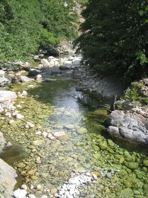 a stream of water with rocks and trees at Hôtel de la Restonica in Corte