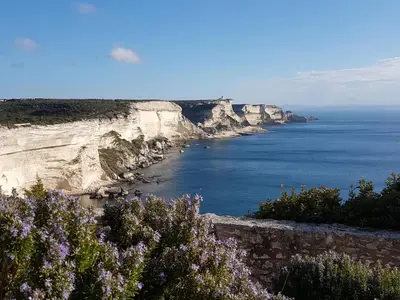 a view of the ocean and cliffs with purple flowers at Macchie e Fiori in Pianottoli-Caldarello