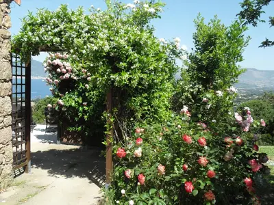 an entrance to a garden with roses at A Mandria in Porticcio