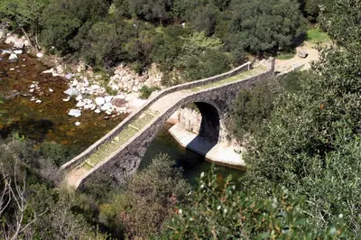 a bridge over a river in the middle of a forest at Capo D'orto - Porto - Corse in Porto Ota
