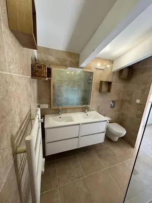 a bathroom with a sink and a toilet at Auberge du col saint Georges in Grosseto-Prugna
