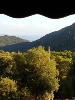 a view of trees and mountains in the distance at Auberge du col saint Georges in Grosseto-Prugna