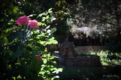 a bush with pink roses in front of a grave at Résidence Marina Livia in Serriera