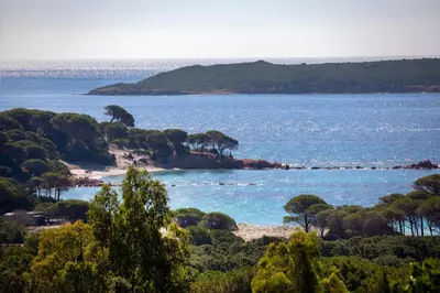 a view of a beach with trees and water at Residence 